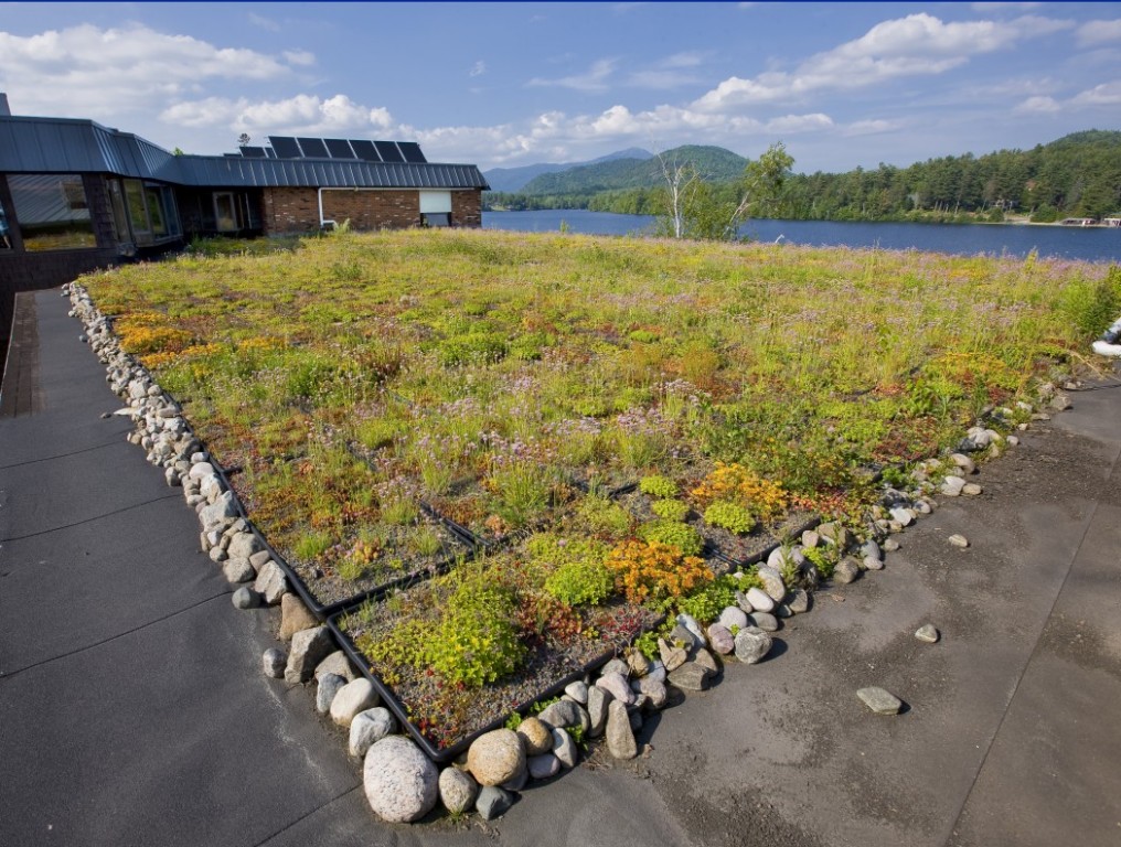 Generations green roof herb garden. Lake Placid, NY #VisitADK #Adirondacks @GetawayMaves