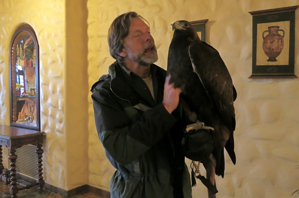 Jack Hubley Falconry Experience at Hershey Hotel PA