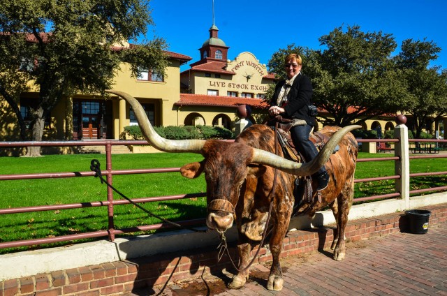 Woman astride a Texas Longhorn in Fort Worth, Texas. 