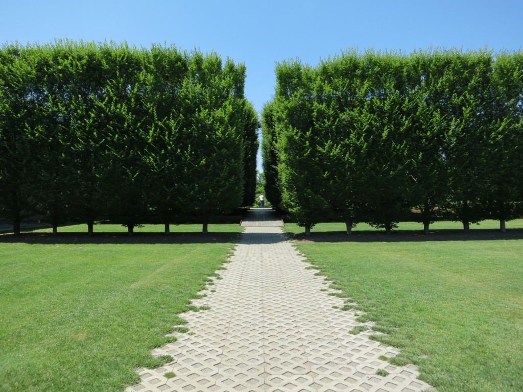 Symmetrical grove of trees outside contemporary art museum in Beacon NY