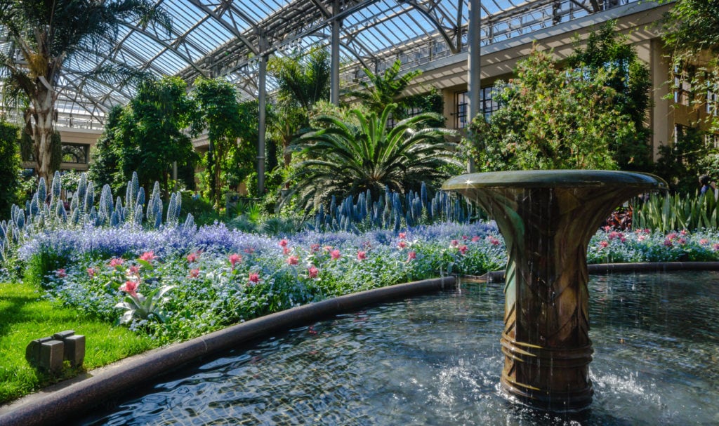 Hanging flowers at East Conservatory - Longwood Gardens - PA