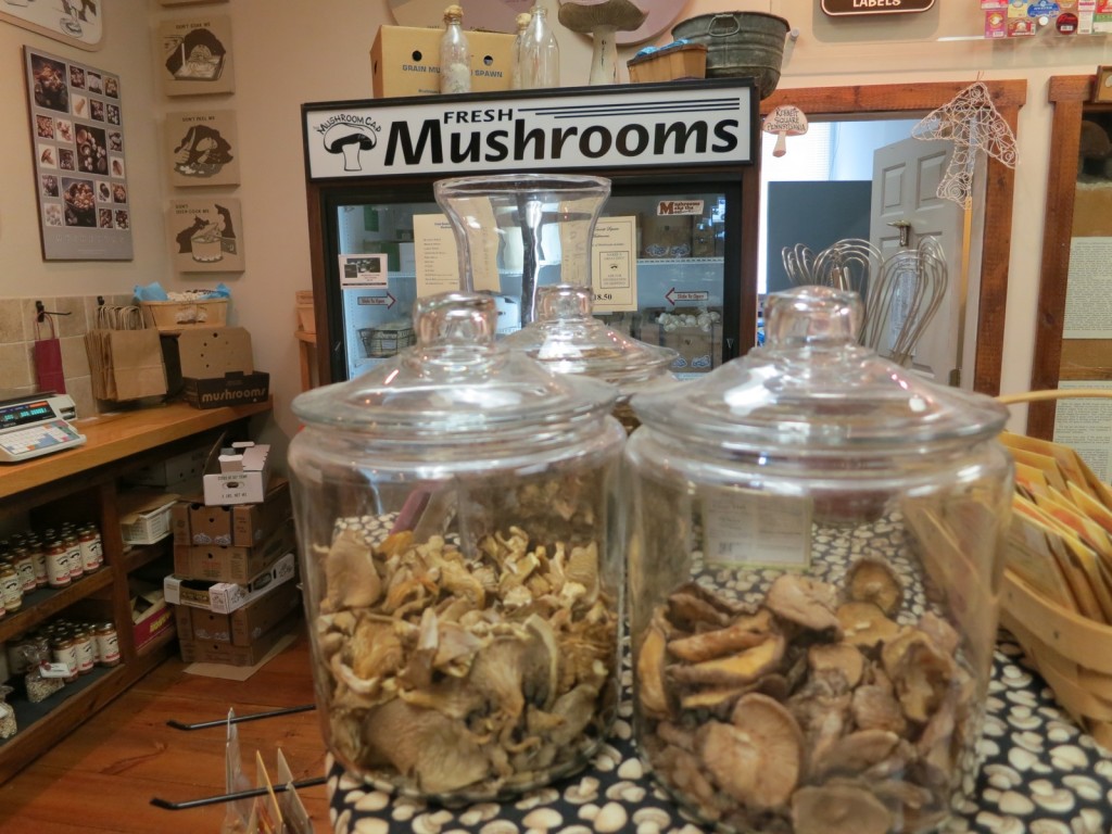 Mushrooms in all forms can be found in The Mushroom Capital of the World. Kennett Square, PA