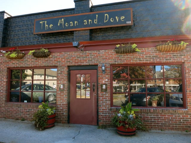 The Moan and Dove, the place for high end beer and free peanuts, Amherst MA