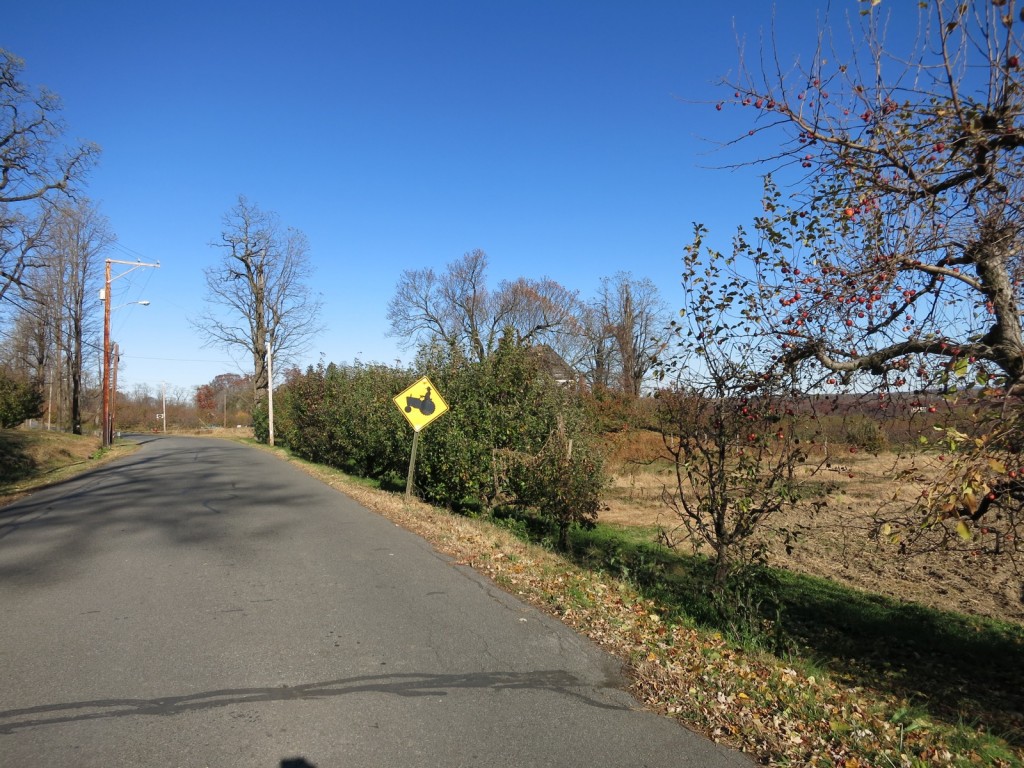 Typical Hudson Valley Road in Farm County NY