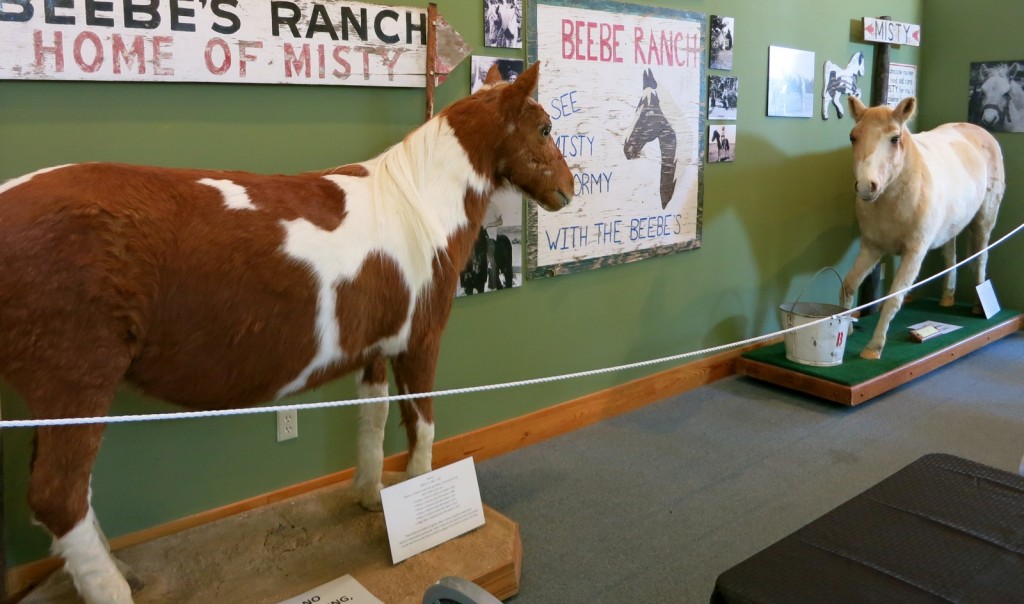 Misty and Stormy of Chincoteague VA, "artfully preserved"