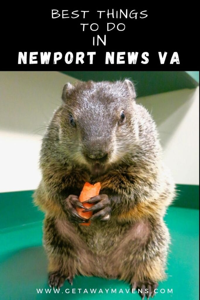 Newport-News-VA-Best-ThingsPin