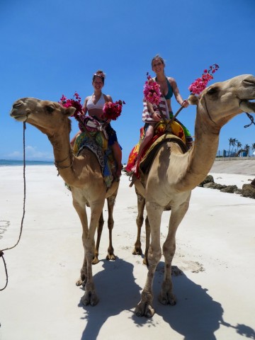 Riding camels on Diani Beach, Kenya