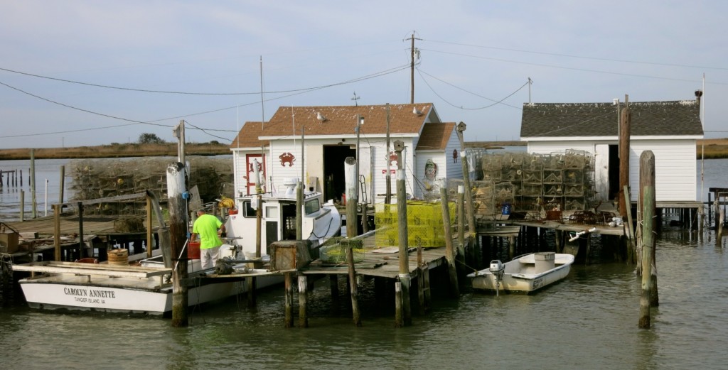 Waterman, Tangier Island VA