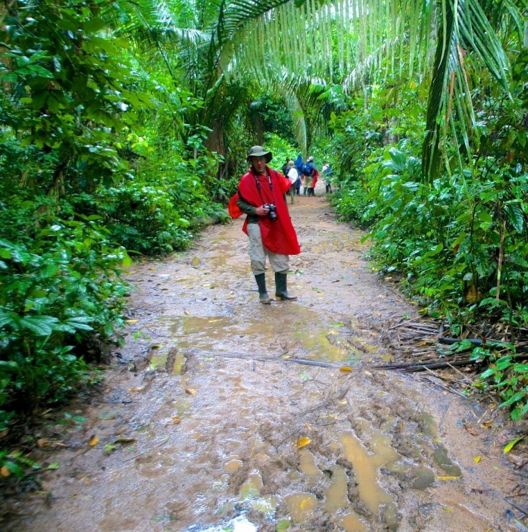 Hike-To-Sandoval-Lake-Lodge-Amazon-Peru