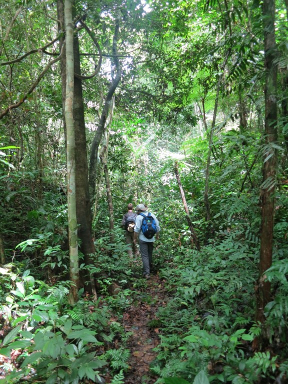 Lodge-Hike-Sandoval-Lodge-Amazon-Peru