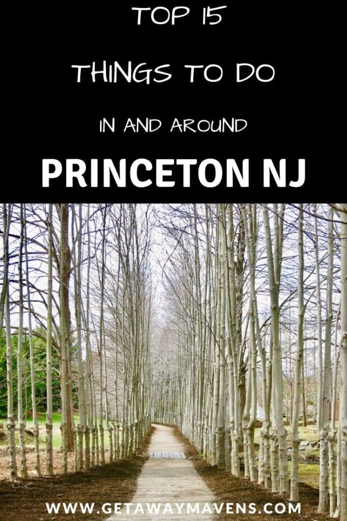 Princeton-NJ-Best-Things-Pin