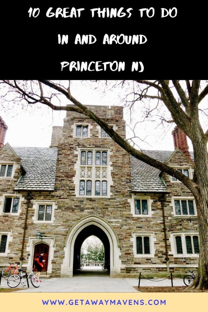 Princeton NJ Pin