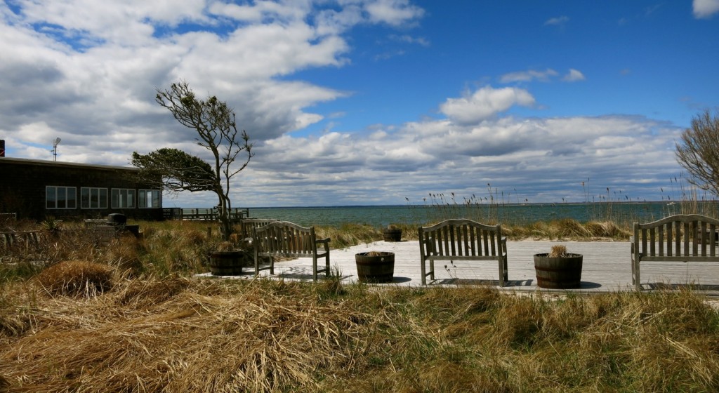 Bay view, Fire Island NY