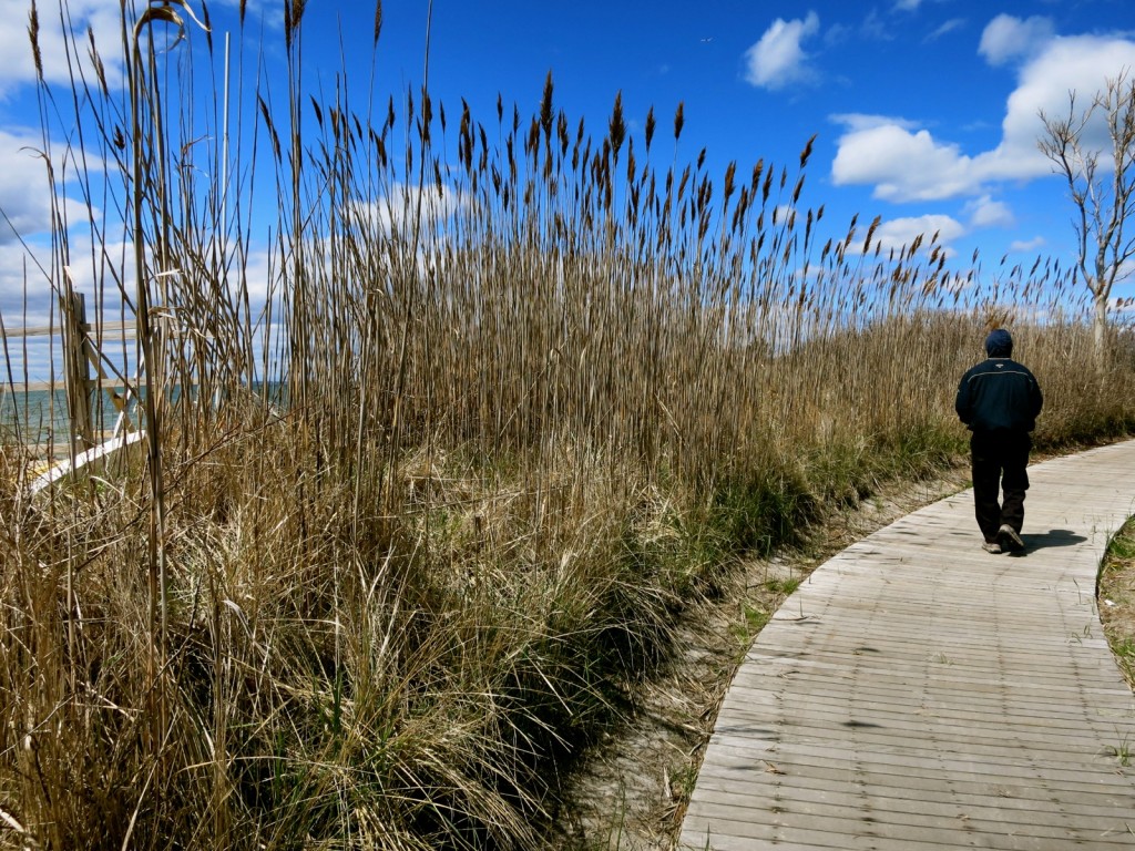 Walking Fire Island NY