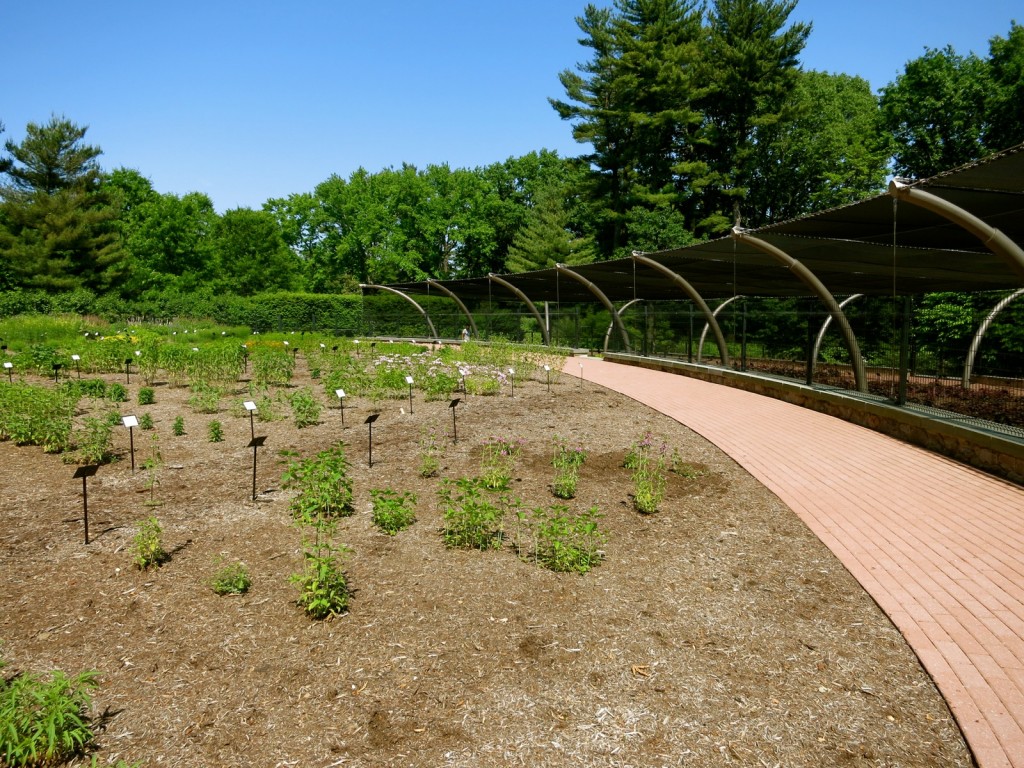 Mount Cuba Horticultural Study Area, DE