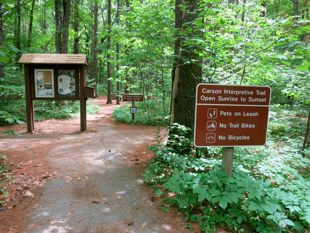 Carson Interpretive Trail at Rachel Carson Wildlife Refuge, Kennebunk, ME