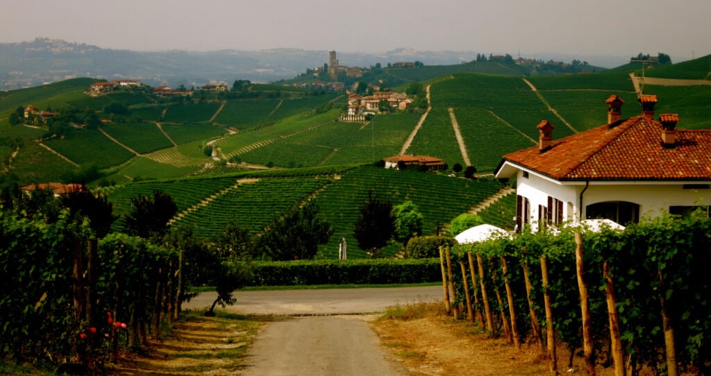 Family Vineyard Piedmont Region Italy