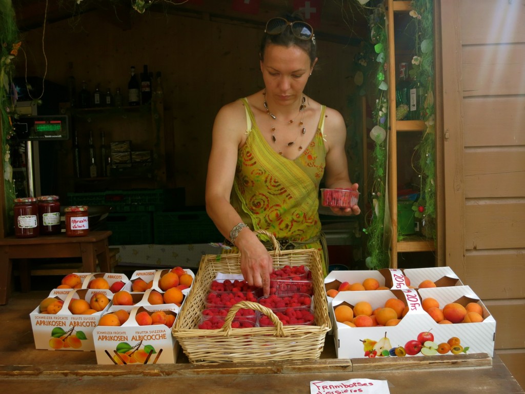 Roadside Stand in the Valley of the Apricots Between Switzerland and Italy