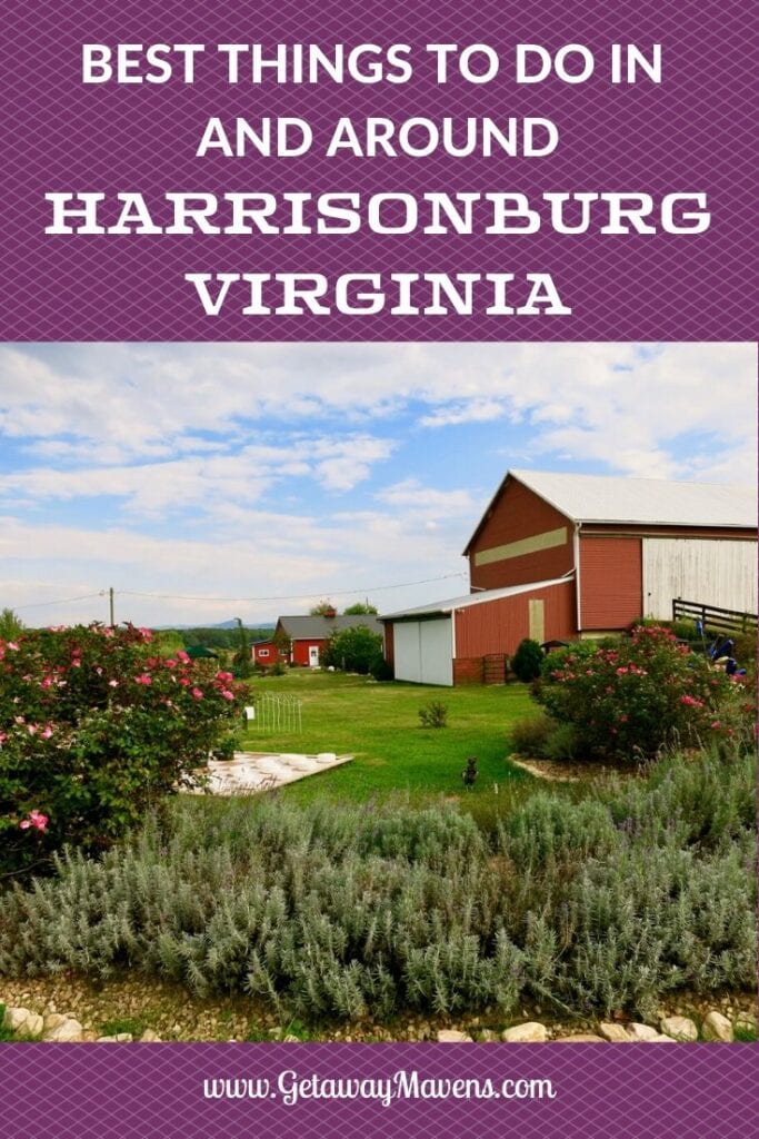 Harrisonburg VA Pin