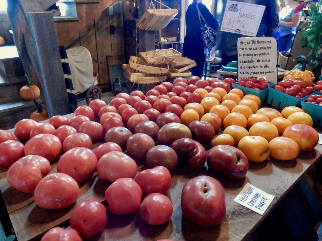 Organic heirloom tomatoes at Homestead Farm, Winchester VA