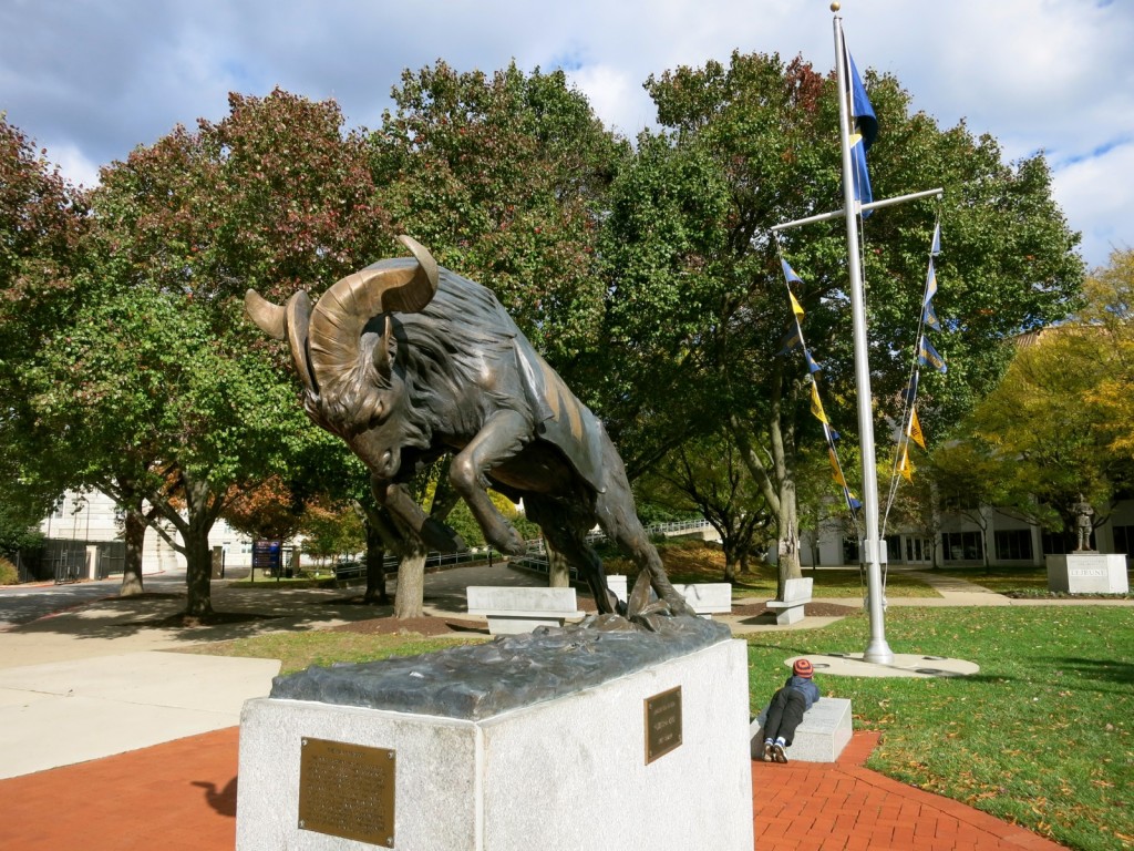 Bill The Goat- Mascot of US Naval Academy