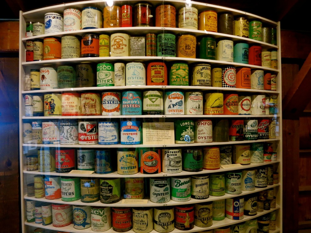 Cans of Oysters, St. Michaels, MD