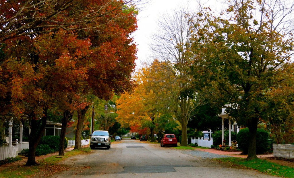Oxford MD street in fall