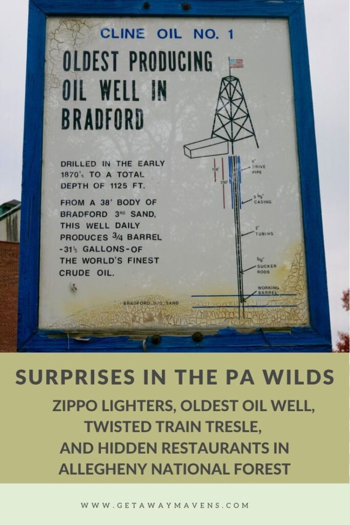 PA WIlds Pin