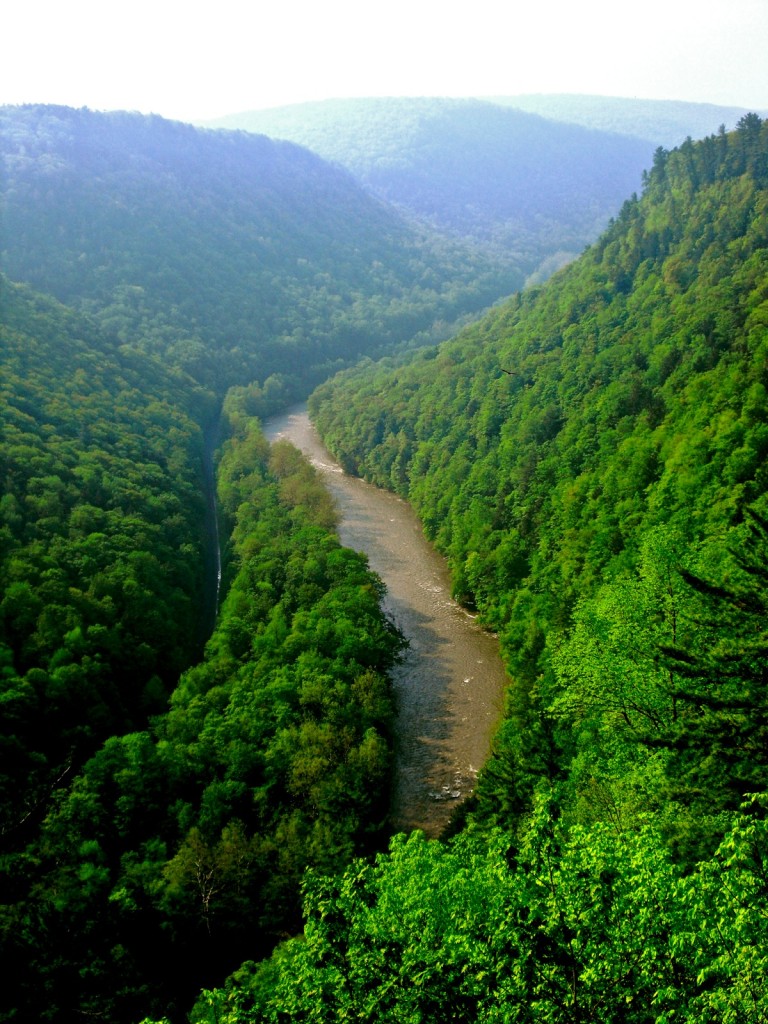 PA Grand Canyon, Colton Point State Park