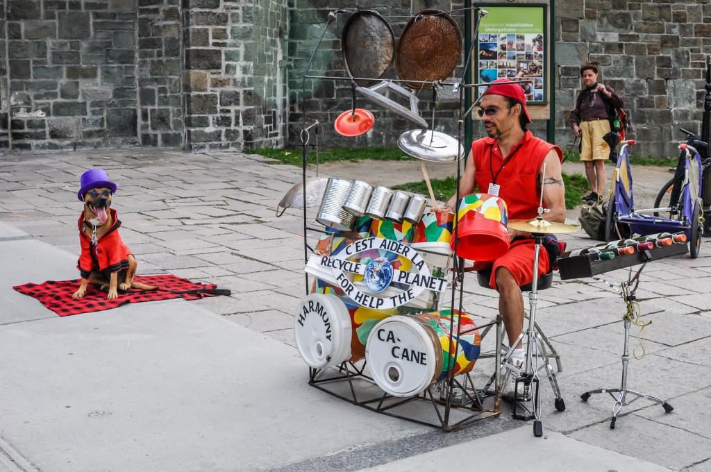 Dog and Drummer Busker - Quebec City