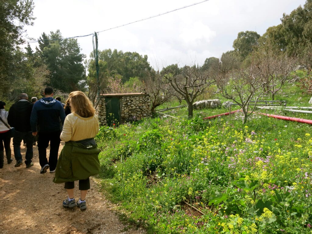 Farm Tour Mitzpe HaYamim Spa Hotel Israel