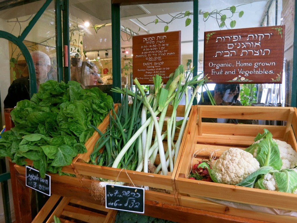 Fresh Organic Produce at Mitzpe Hayamim Farm Store