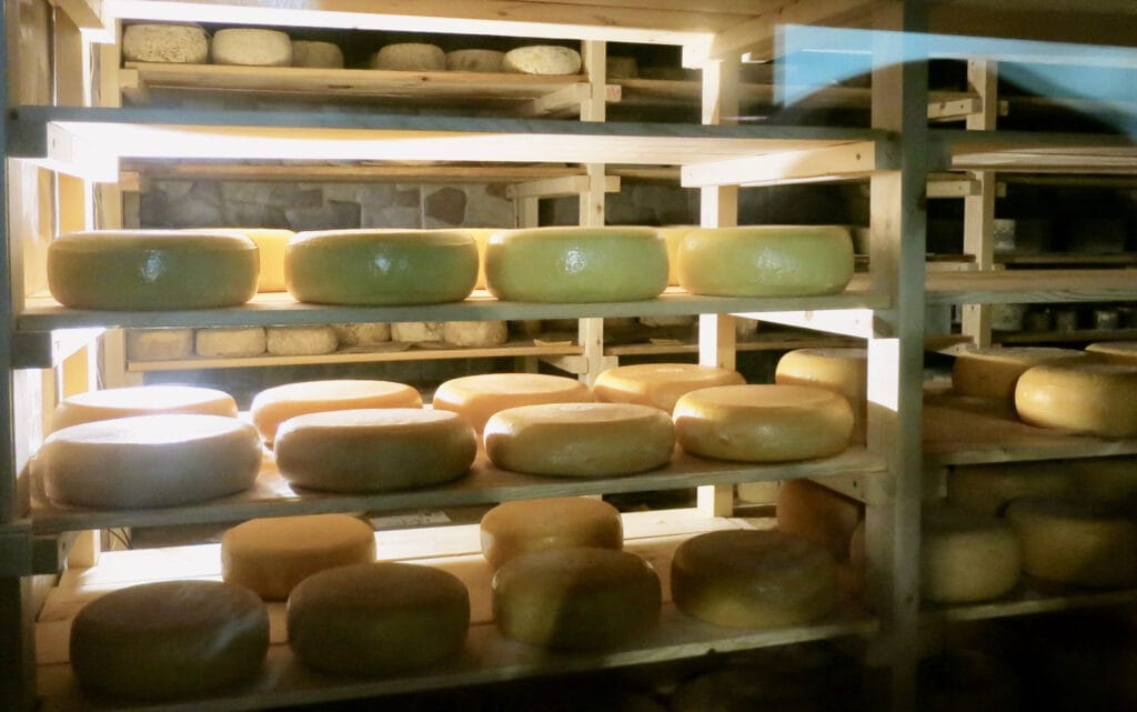 House made cheese at Mitzpe Hayamim Spa and Hotel, Israel