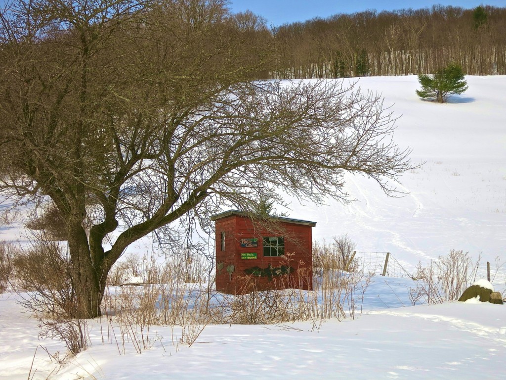 Sheep Hill, Williamstown Rural Lands Foundation