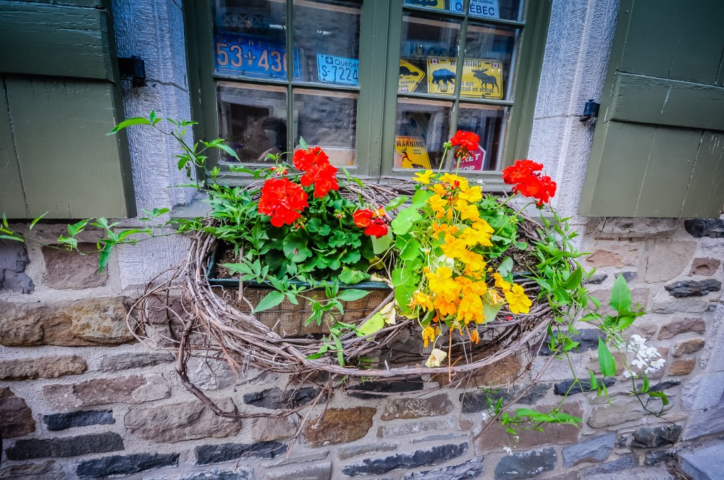 Window Box - Quebec City