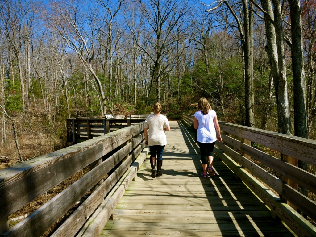 Boardwalk to Government Island Stone Quarry, VA