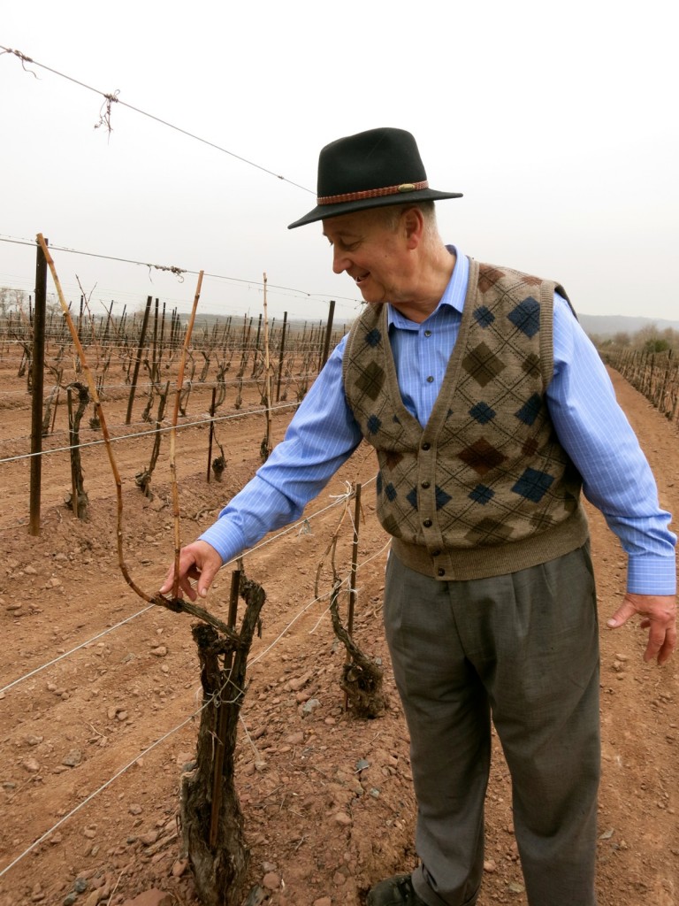 Joe M. owner, Sand Castle Winery PA