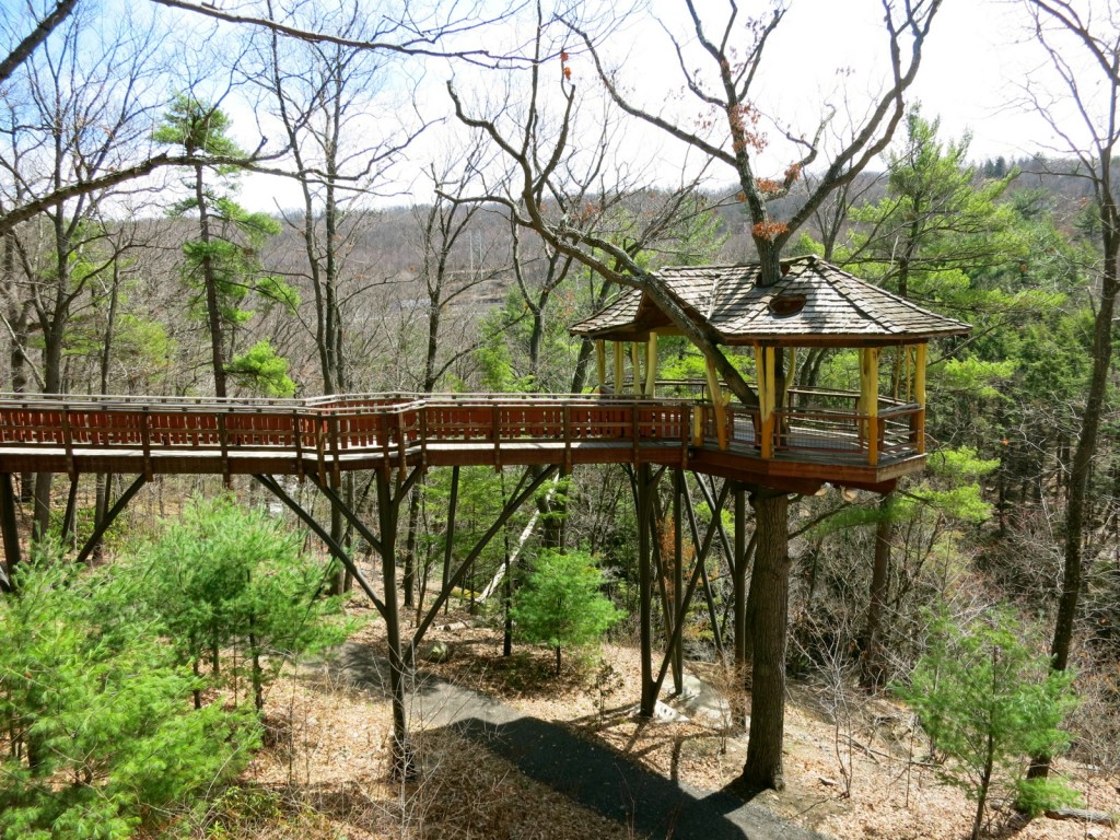 Tree House in Nay Aug Park, Scranton PA