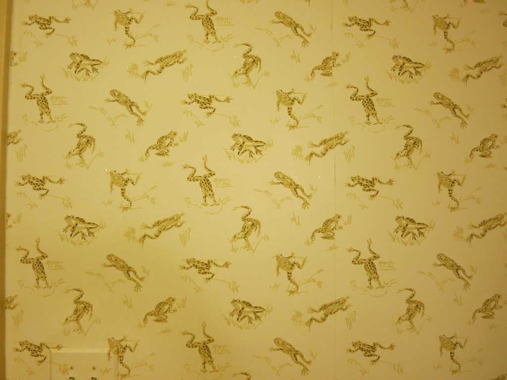 Frog Wallpaper in Bathroom
