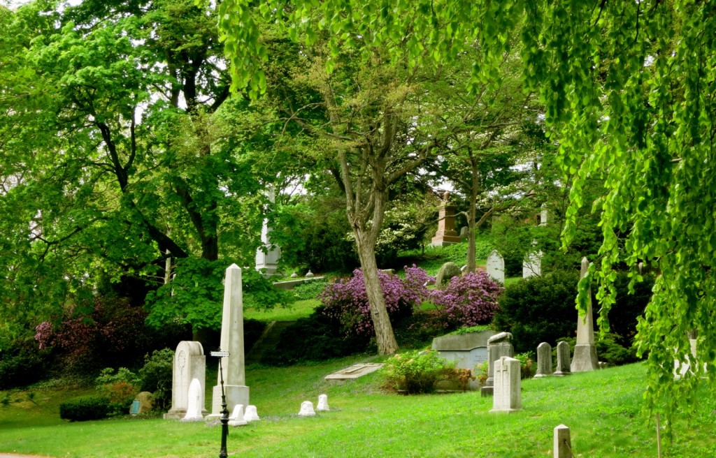 Graves at Mount Auburn Cemetery