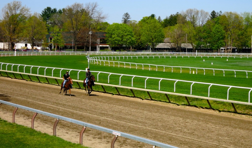 Saratoga Race Track Morning Training