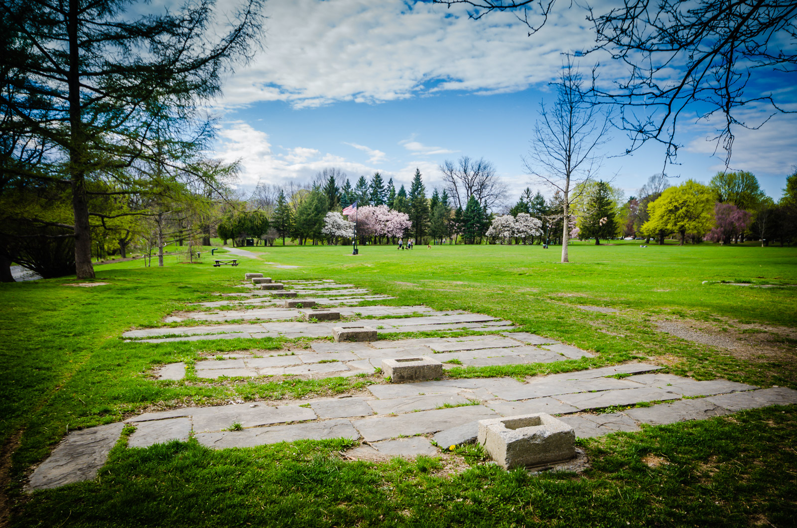 100,000 Tulips Blossom In Washington Park Albany, NY