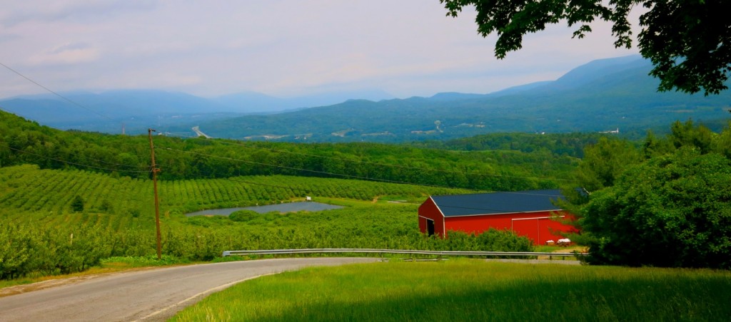 Apple Orchards and Vermont Mountains - Bennington VT