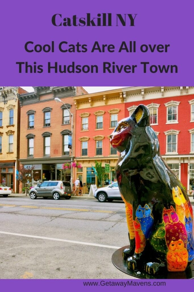 Catskill NY Pin