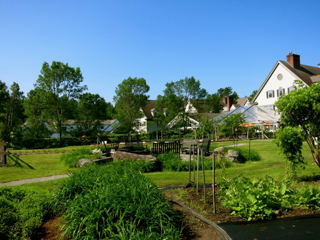 Essex Resort Backyard and Garden