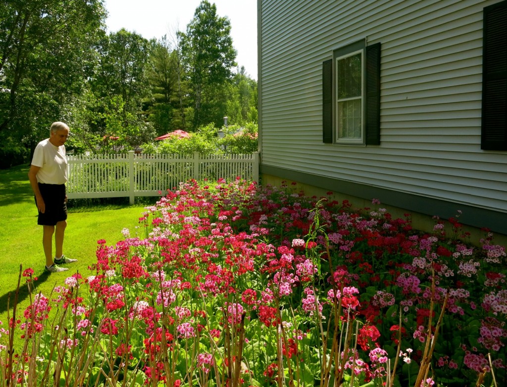 Essex Resort Flowers