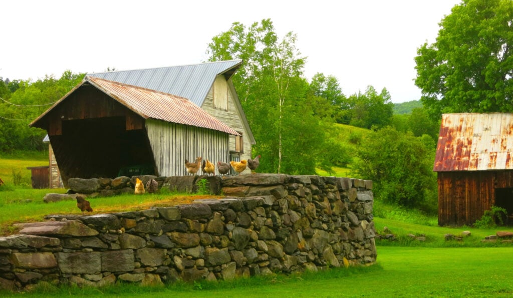 Farmhouse Inn at Robinsons Farm Property Woodstock VT