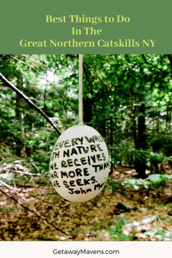 Great Northern Catskills Pin