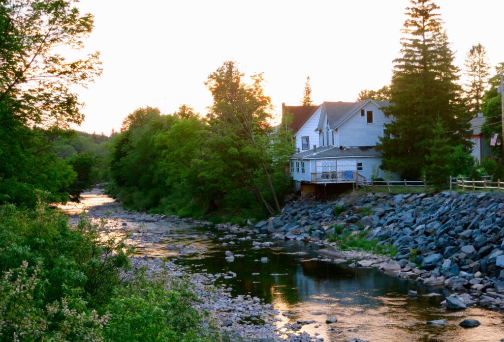 Great Northern Catskills Stream