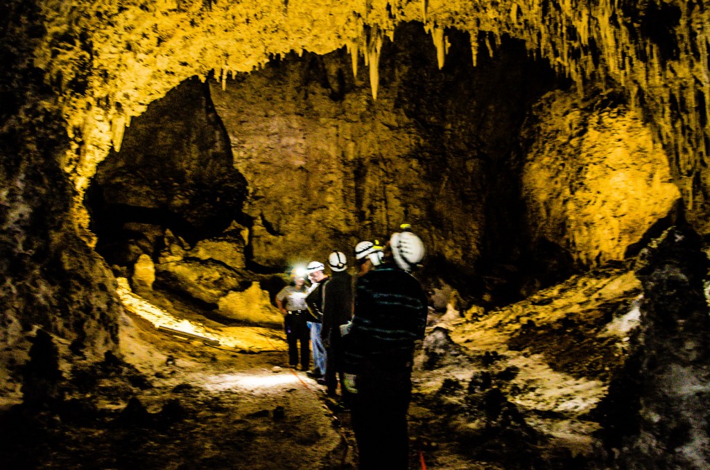 Lower Cave Tour - Carlsbad Caverns